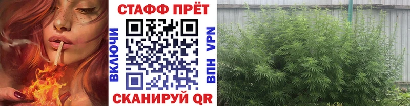 Цена Неман АМФ  СОЛЬ  Гашиш  МЕФ  МАРИХУАНА 