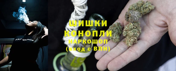 дмт Алзамай
